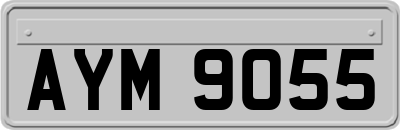 AYM9055