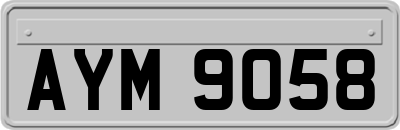 AYM9058