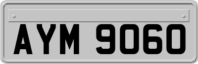 AYM9060