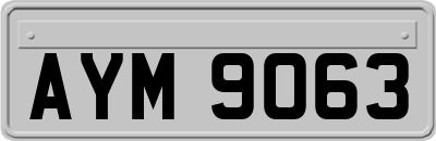 AYM9063