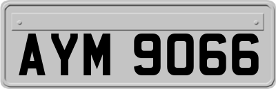 AYM9066
