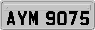 AYM9075