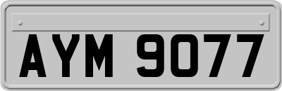 AYM9077