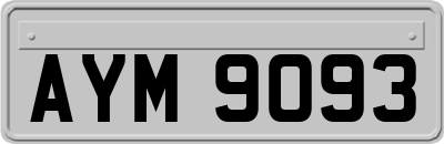 AYM9093