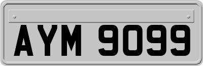 AYM9099