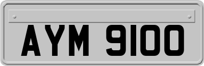 AYM9100