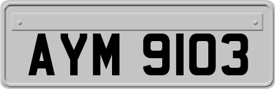 AYM9103
