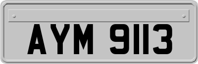 AYM9113