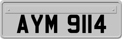 AYM9114