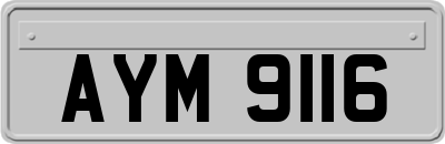AYM9116