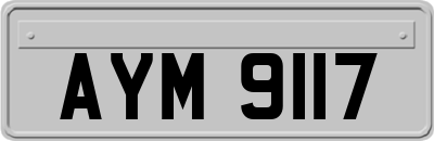 AYM9117