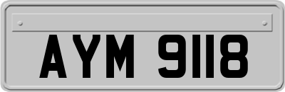 AYM9118