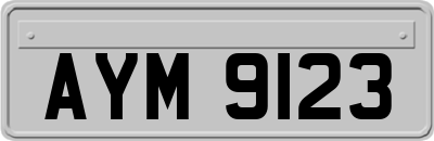 AYM9123
