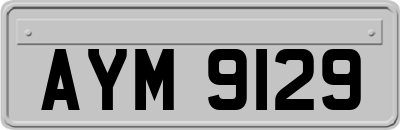 AYM9129