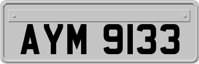 AYM9133