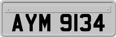 AYM9134