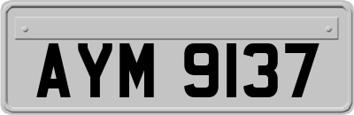 AYM9137