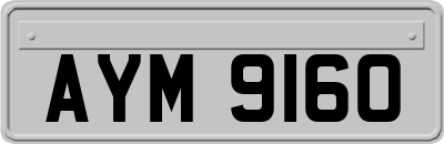 AYM9160