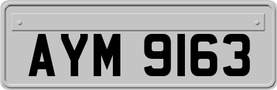 AYM9163