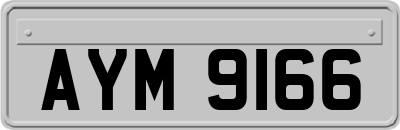 AYM9166