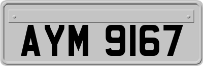 AYM9167