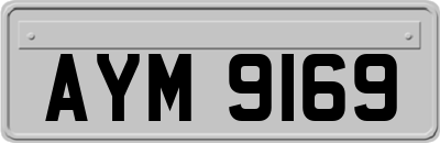 AYM9169