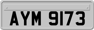 AYM9173