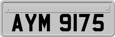 AYM9175