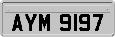 AYM9197