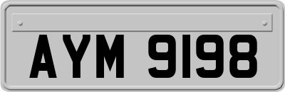 AYM9198