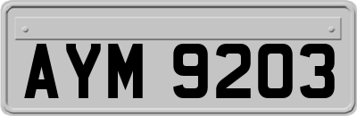 AYM9203