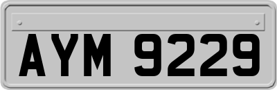 AYM9229