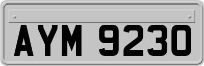 AYM9230