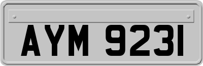 AYM9231