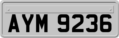 AYM9236