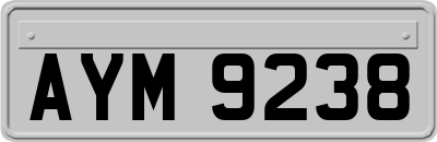 AYM9238