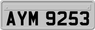 AYM9253