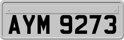 AYM9273
