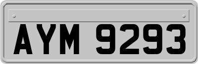 AYM9293