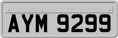 AYM9299