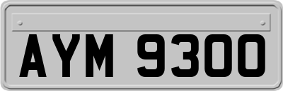 AYM9300