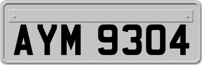 AYM9304