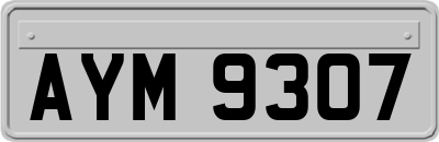 AYM9307