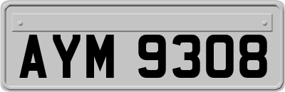 AYM9308