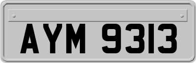 AYM9313