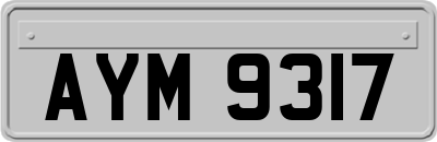 AYM9317