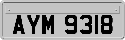 AYM9318