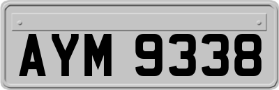 AYM9338