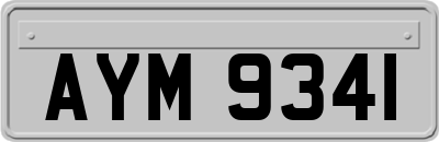 AYM9341