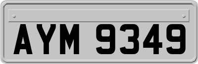 AYM9349